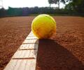 Zomerstages tennis